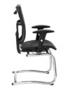 silla-aneus-visita-lateral